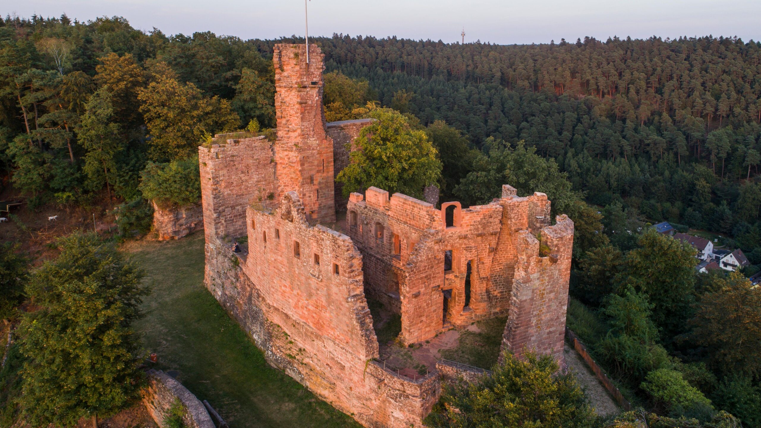 Palatinate Forest & Hohenecken Castle